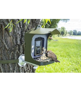 tx-165-mangoi-full-hd-vert