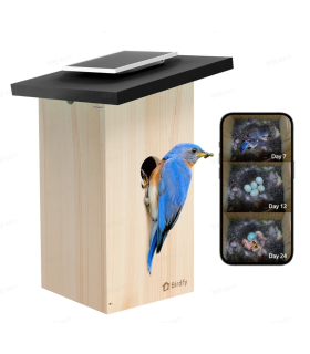 birdfy-nichoir-ebony-lite-camera-integree-1080-fhd-panneau-solaire-integre-9000mah-bois